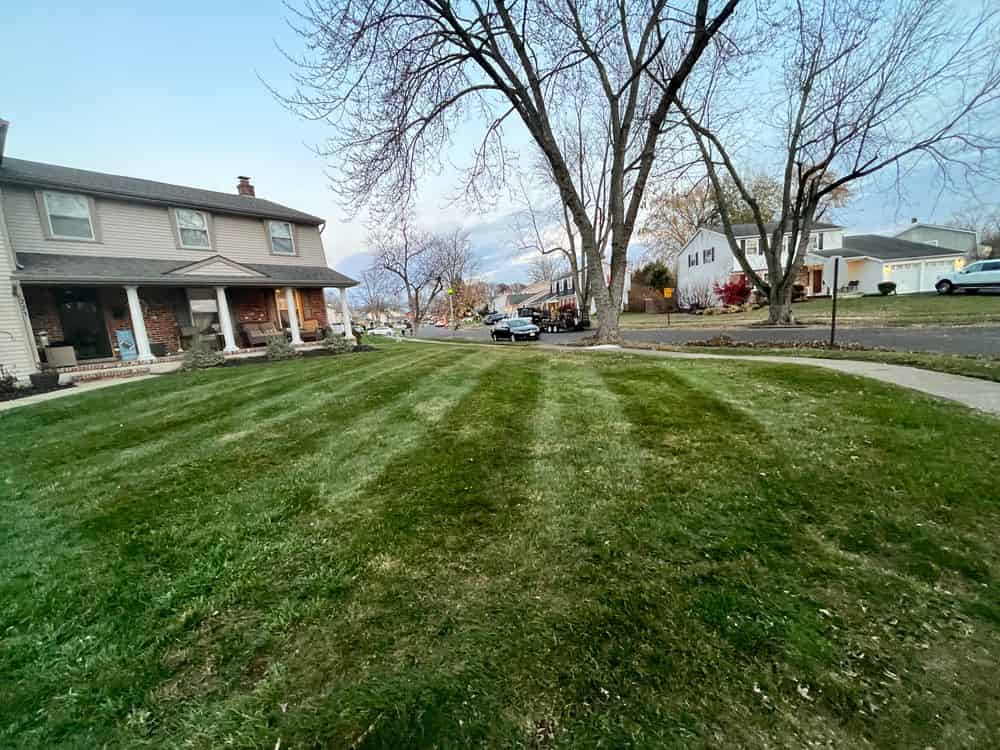 Recurring Lawncare Services image